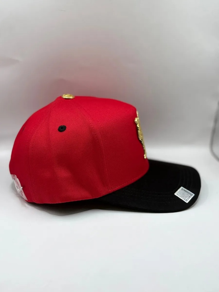 BIGG BOSS PUESTO 15 GALLO ROJO