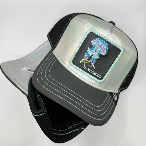 GOORIN BROS DANGEROUS  CROMATICS SILVER