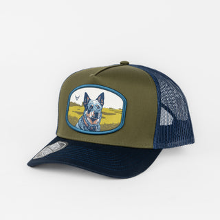RANCH & CORRAL DOG BREEDS BLUE HEELER RCDB23